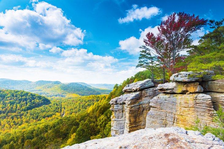 Point de vue East Pinnacle, forêt de Berea College