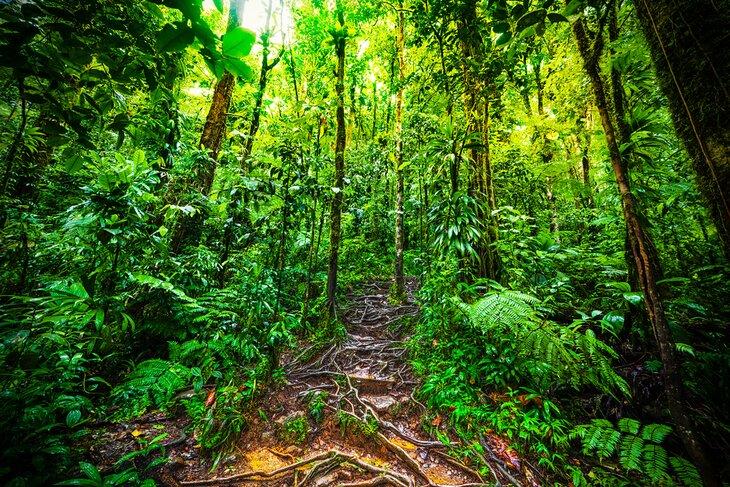Parc National de Guadeloupe