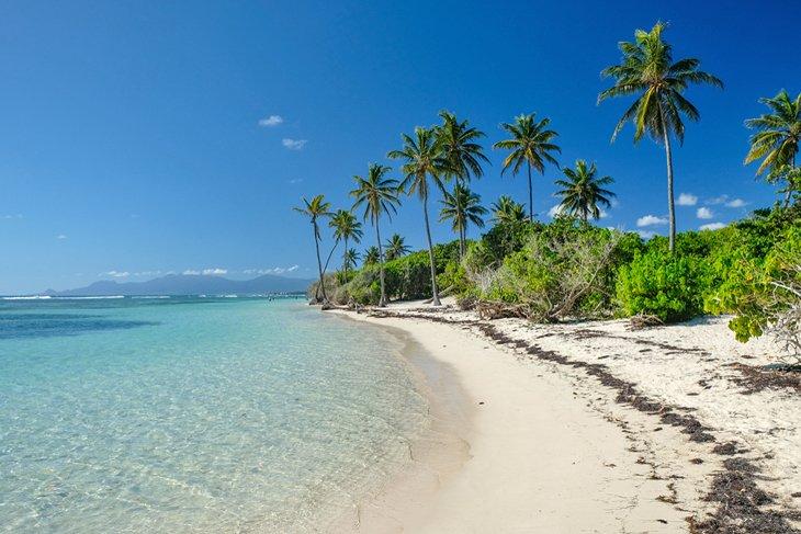 Plage de Bois Jolan