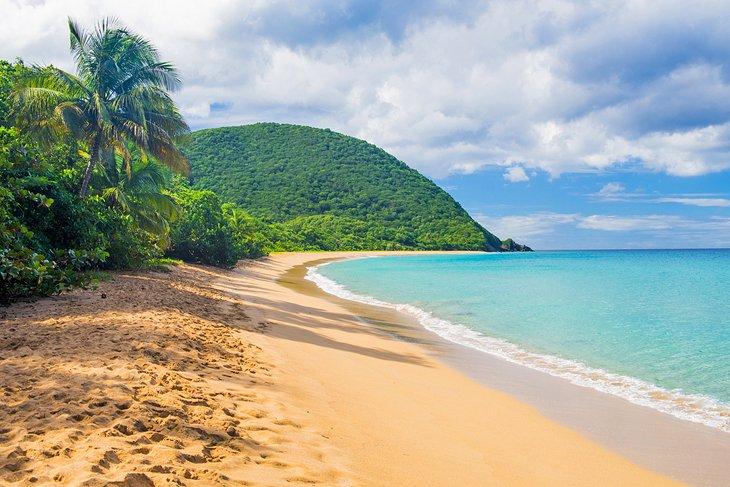 Plage de Grand Anse