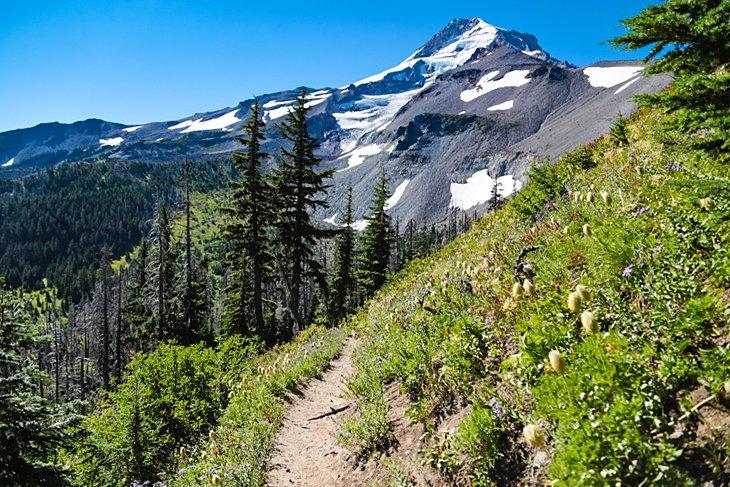 El Sendero del Cresta del Pacífico atraviesa el Bosque Nacional Mount Hood