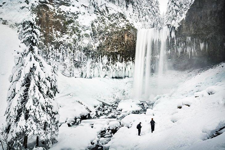 Esquiadores de raquetas de nieve en el Bosque Nacional Mount Hood