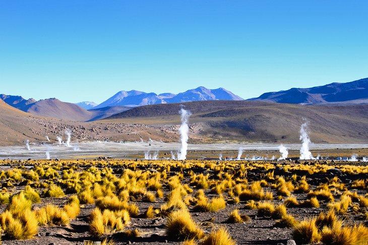 Geysire in der Atacama-Wüste, Chile