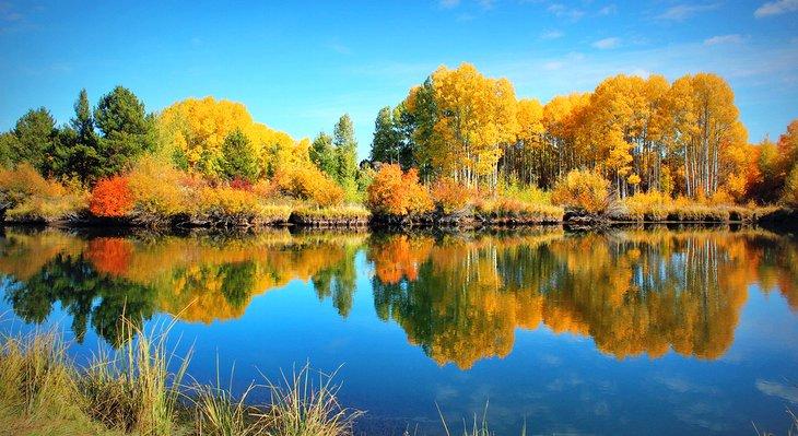 Colores de otoño cerca de Bend