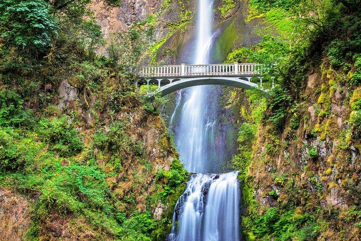 Cataratas Multnomah en la Garganta del Río Columbia
