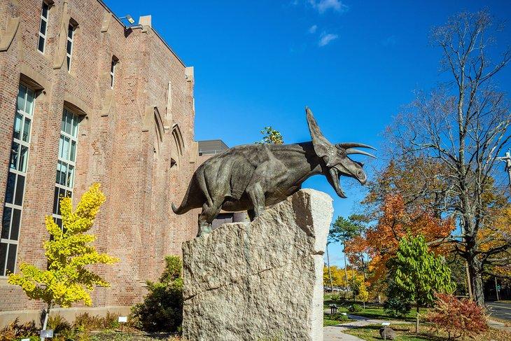 Musée d'Histoire Naturelle Yale Peabody