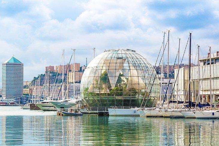 Acquario di Genova (Acuario)