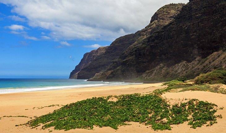 Parque Estatal Polihale