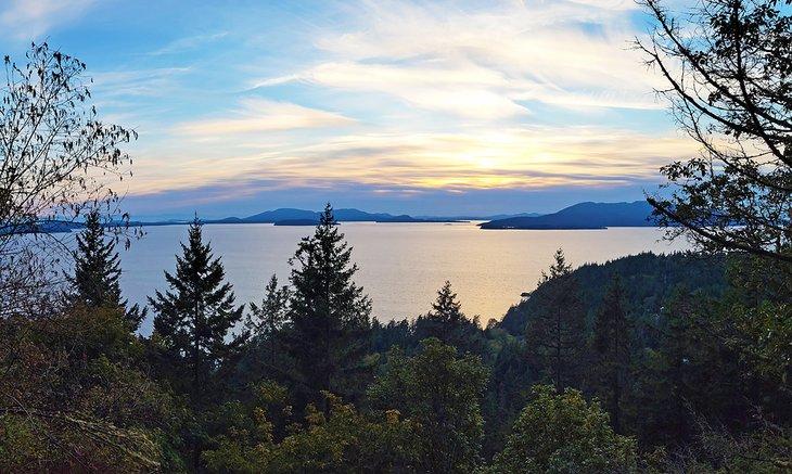 Mirador de Lago Fragrance