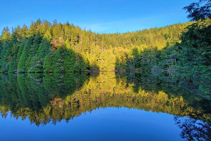Lago Fragrance