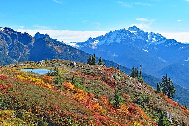 Monte Baker, Sendero Yellow Aster Butte