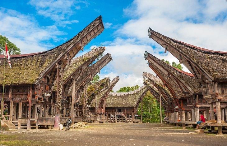 Traditionelle Häuser in Tana Toraja, Sulawesi