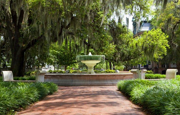 Plazas de Savannah