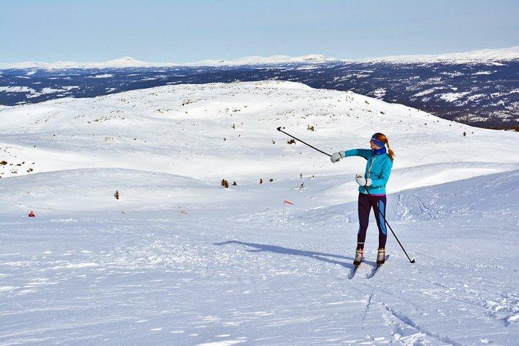 Ski de fond près d'Oslo