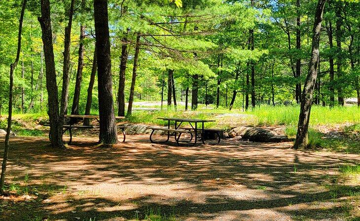 Ein Campingplatz im Killbear Provincial Park