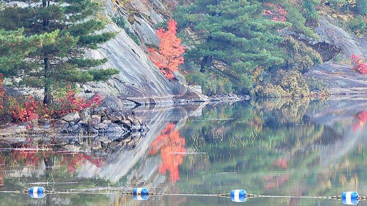 Morgen am George Lake