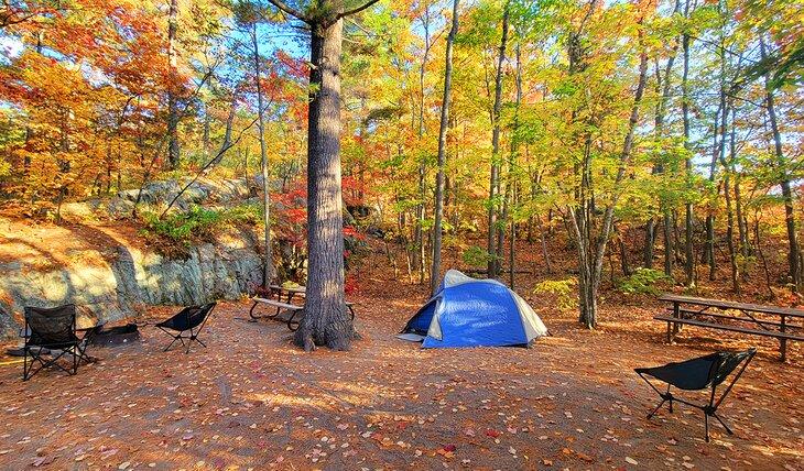 Ein Campingplatz im Killarney Provincial Park (Heron Loop)