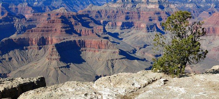 Recorrido por Hermit Road
