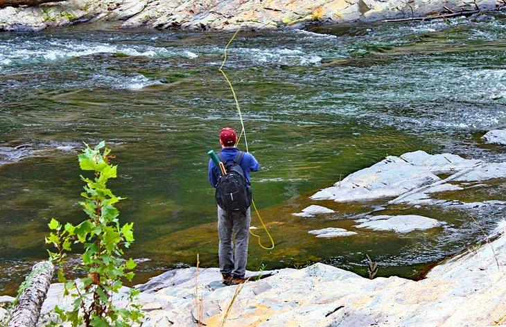 Pescador de mosca en el río Lower Mountain Fork