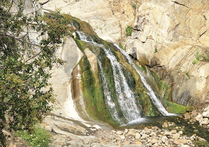 Cascada en el sendero Cold Spring East Fork