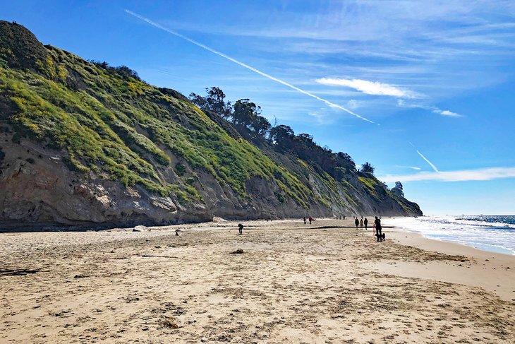 Playa Arroyo Burro (Hendry's) debajo del Douglas Family Preserve