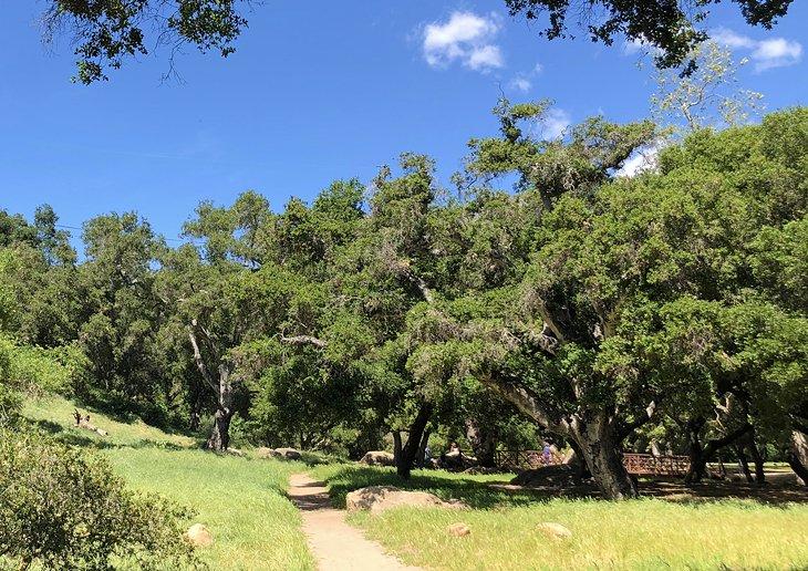 El sendero Stevens Park salpicado de robles