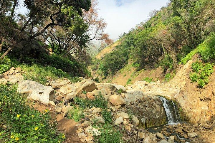 Sendero Cold Spring East Fork