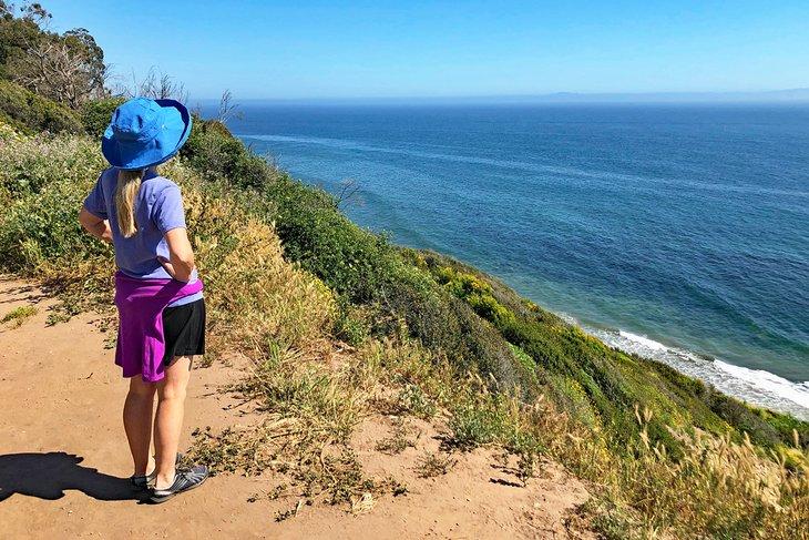 Mirando hacia el océano Pacífico desde el Douglas Family Preserve