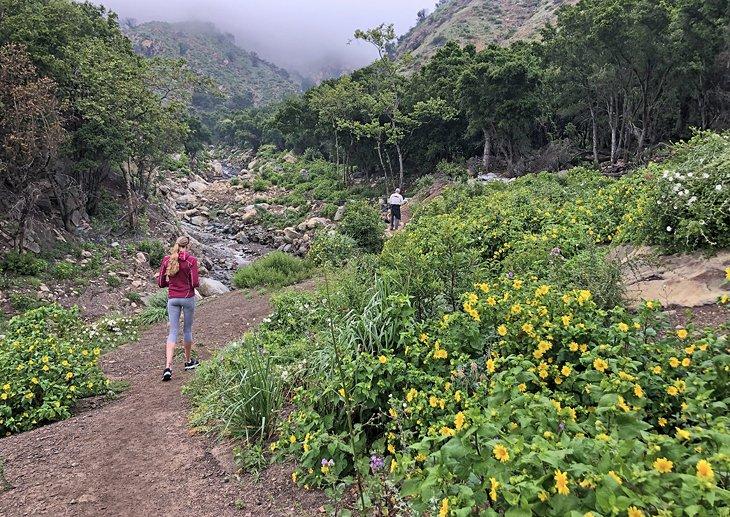 Excursionistas en el sendero San Ysidro