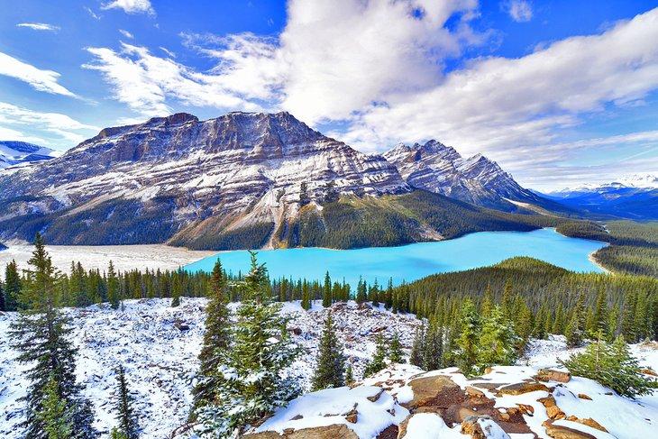 Blick auf den Peyto Lake im Banff-Nationalpark