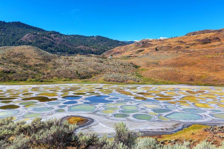 Spotted Lake in Britisch-Kolumbien