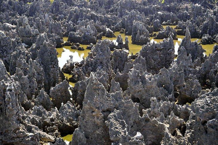 Hell, Grand Caïman