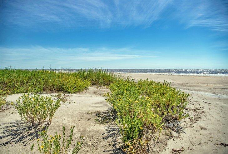 Playa de Holly, Louisiana