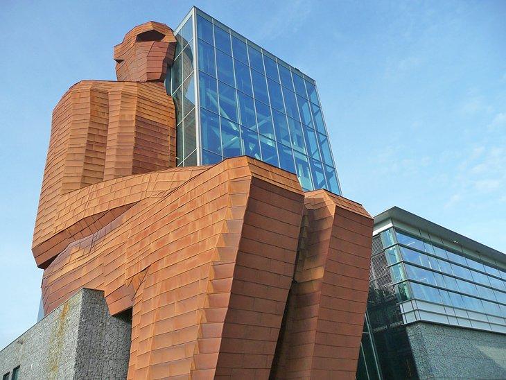 Musée Corpus / Pedro Layant