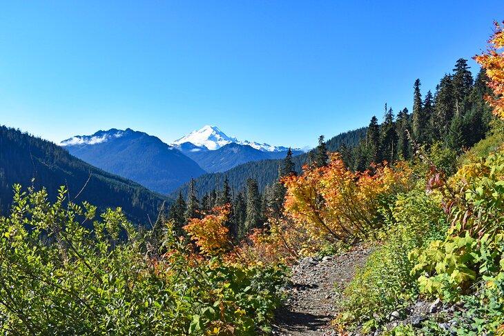 Mont Baker vu depuis le sentier Yellow Aster Butte