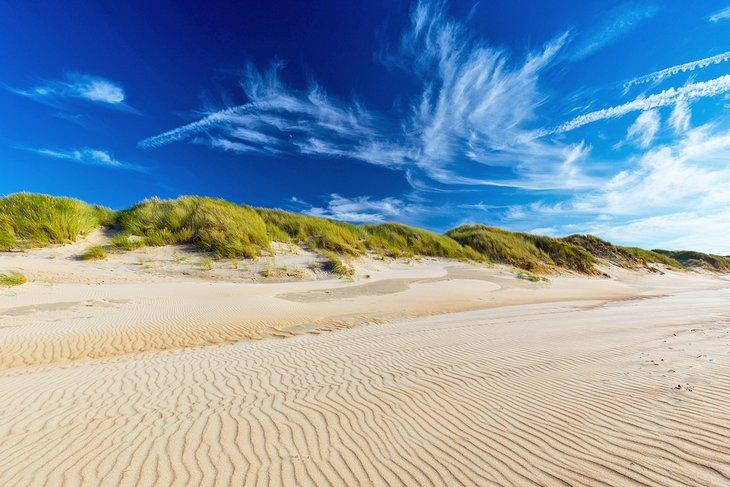 Dunes le long de la Plage de De Haan