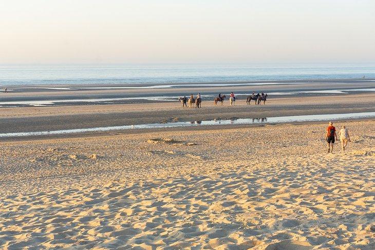 Chevaux sur la Plage de Koksijde