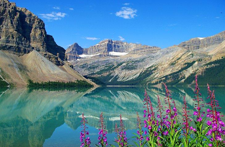 Lago Bow