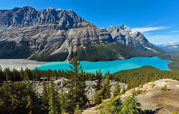 Lago Peyto