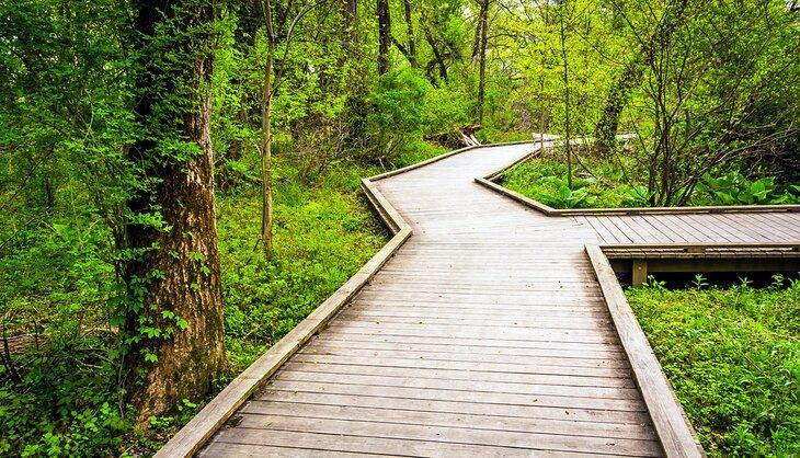 Parque Wildwood