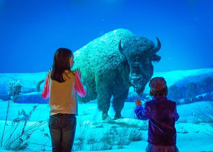 Museo del Estado de Pensilvania
