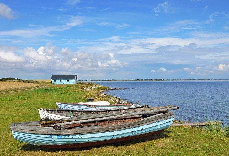 Excursión de un Día a Limfjord