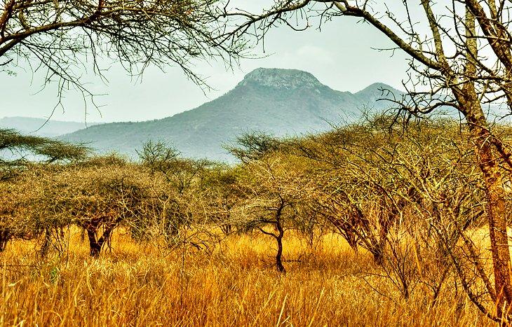 Lebombo-Berge