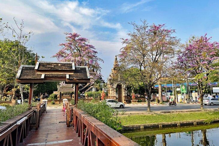 Vieille ville de Chiang Mai