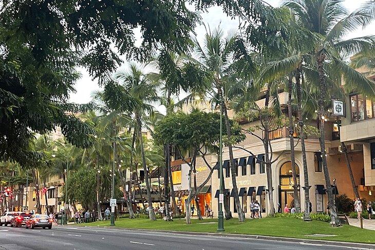 Avenida Kalakaua
