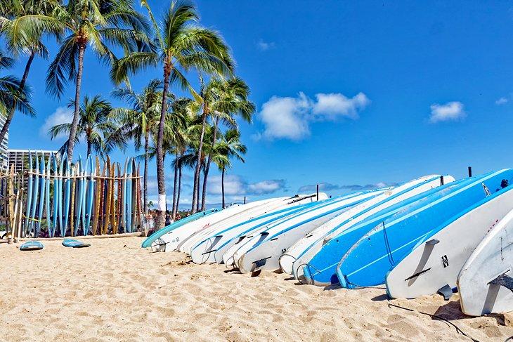 Tablas de surf en la playa de Waikiki