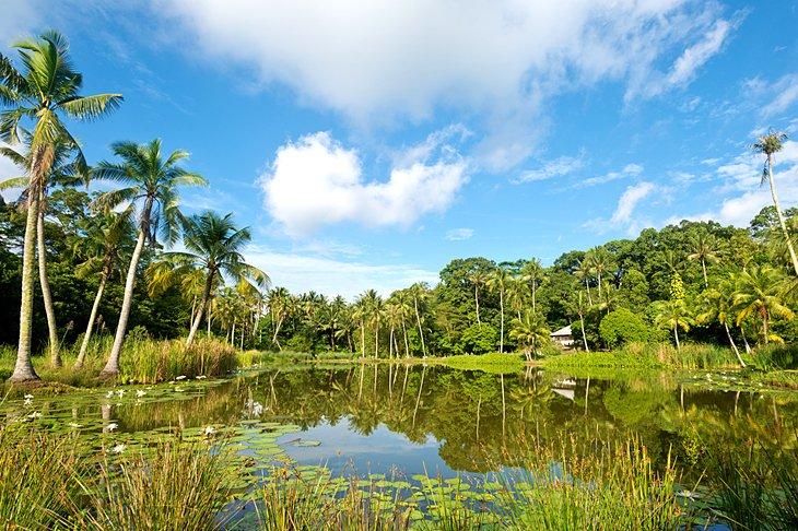 Pulau Ubin (Isla de Granito)