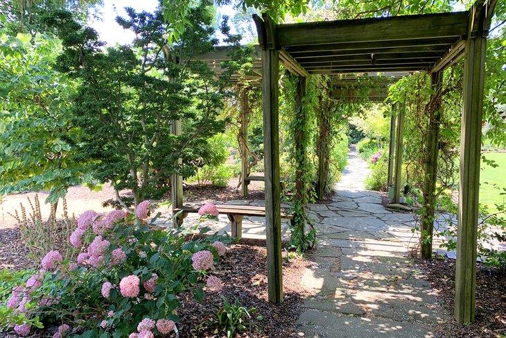 Arboreto JC Raulston