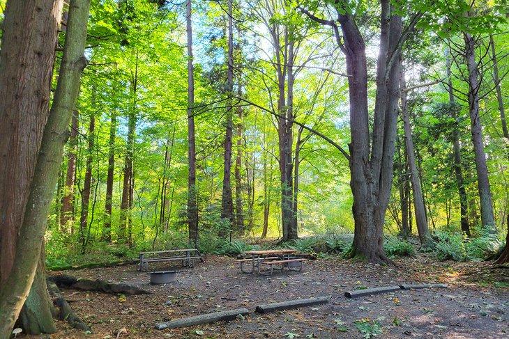 Emplacement de camping dans le parc d'État de Birch Bay