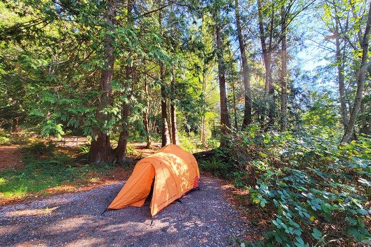 Tente dans le parc d'état de Larrabee